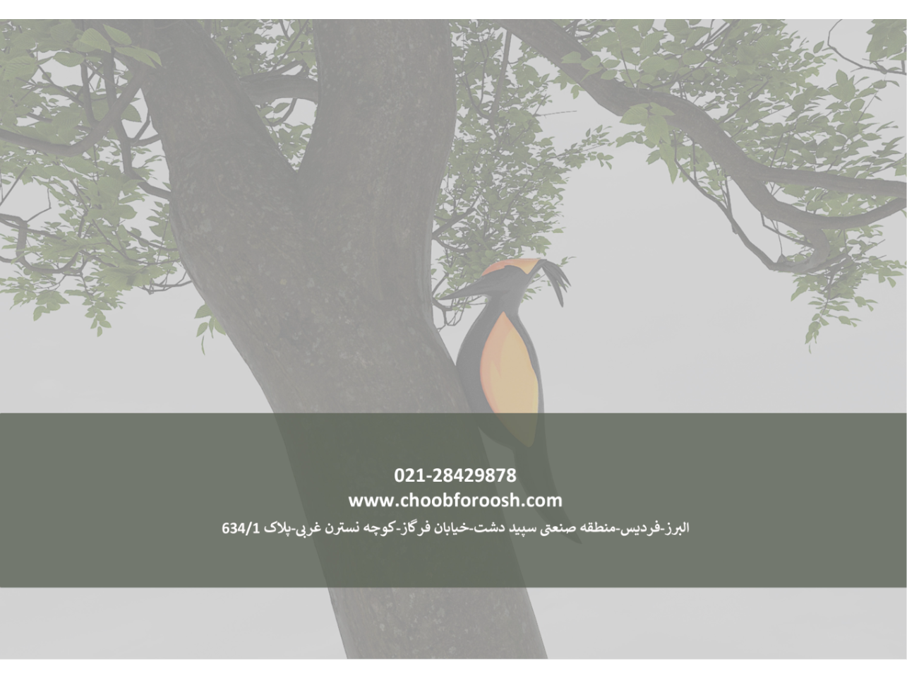 چوب فروش لوازم منزل و اداری