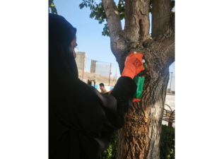 شرکت چشمه سازان دلیر 