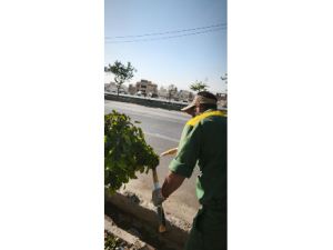 شرکت چشمه سازان دلیر 