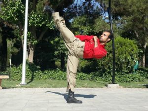 باشگاه کونگ فو توآ سیمرغ